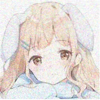 木木不困的头像